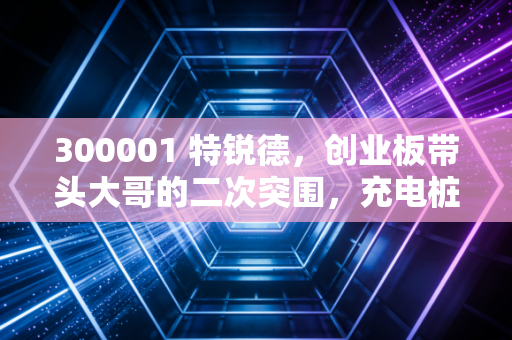 300001 特锐德，创业板带头大哥的二次突围，充电桩真的是一门好生意吗？