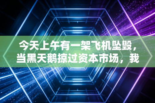 今天上午有一架飞机坠毁,当黑天鹅掠过资本市场,我们该如何审视风险与人性?