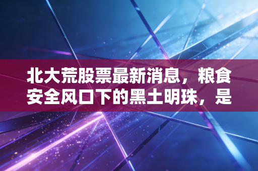 北大荒股票最新消息,粮食安全风口下的黑土明珠,是稳健避风港还是被低估的金矿?