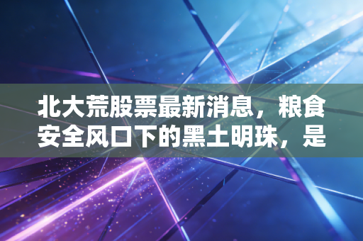 北大荒股票最新消息,粮食安全风口下的黑土明珠,是稳健避风港还是被低估的金矿?