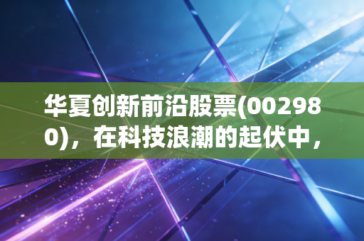 华夏创新前沿股票(002980),在科技浪潮的起伏中,我们该如何寻找那只长坡厚雪的基金?