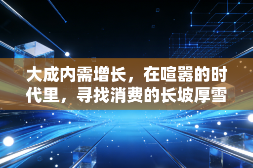 大成内需增长，在喧嚣的时代里，寻找消费的长坡厚雪
