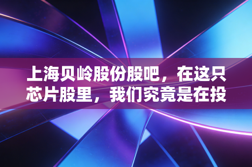 上海贝岭股份股吧,在这只芯片股里,我们究竟是在投资还是在赌心跳?