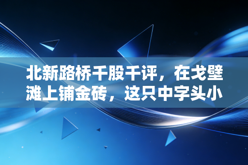 北新路桥千股千评,在戈壁滩上铺金砖,这只中字头小弟到底能不能打?
