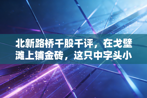 北新路桥千股千评,在戈壁滩上铺金砖,这只中字头小弟到底能不能打?