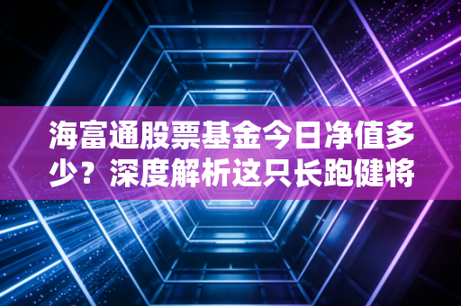 海富通股票基金今日净值多少?深度解析这只长跑健将的真实成色与投资心法