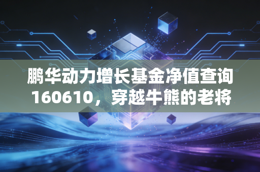 鹏华动力增长基金净值查询160610，穿越牛熊的老将，还能为你带来多少惊喜？