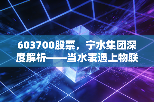 603700股票,宁水集团深度解析——当水表遇上物联网,这只隐形冠军还能稳多久?