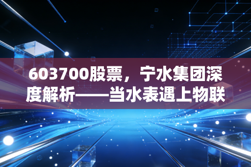 603700股票,宁水集团深度解析——当水表遇上物联网,这只隐形冠军还能稳多久?