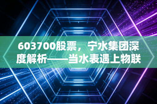 603700股票,宁水集团深度解析——当水表遇上物联网,这只隐形冠军还能稳多久?