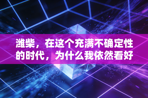 潍柴,在这个充满不确定性的时代,为什么我依然看好这家动力之王?