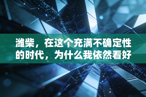 潍柴,在这个充满不确定性的时代,为什么我依然看好这家动力之王?
