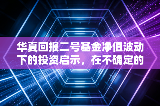 华夏回报二号基金净值波动下的投资启示，在不确定的市场中寻找确定的收益