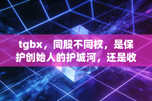 tgbx,同股不同权,是保护创始人的护城河,还是收割散户的镰刀?