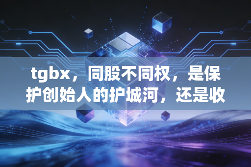 tgbx，同股不同权，是保护创始人的护城河，还是收割散户的镰刀？