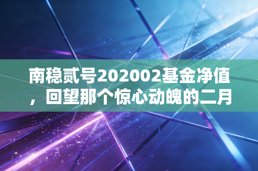南稳贰号202002基金净值，回望那个惊心动魄的二月，聊聊稳健投资的真正意义