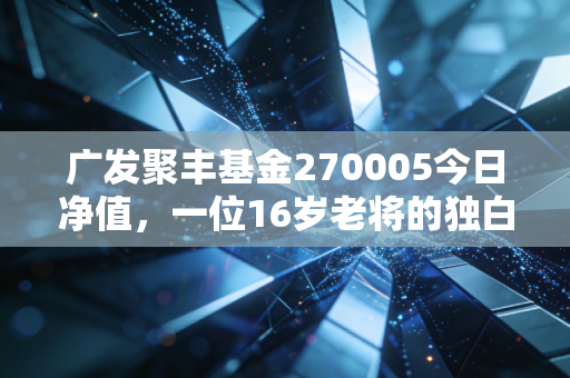 广发聚丰基金270005今日净值，一位16岁老将的独白，在震荡市中我们该如何自处？