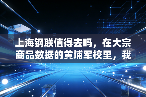 上海钢联值得去吗,在大宗商品数据的黄埔军校里,我们到底在图什么?