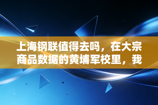 上海钢联值得去吗,在大宗商品数据的黄埔军校里,我们到底在图什么?