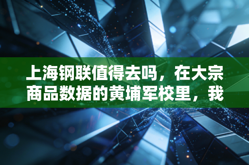 上海钢联值得去吗，在大宗商品数据的黄埔军校里，我们到底在图什么？