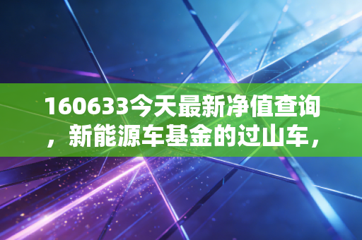 160633今天最新净值查询，新能源车基金的过山车，我们该如何系好安全带？