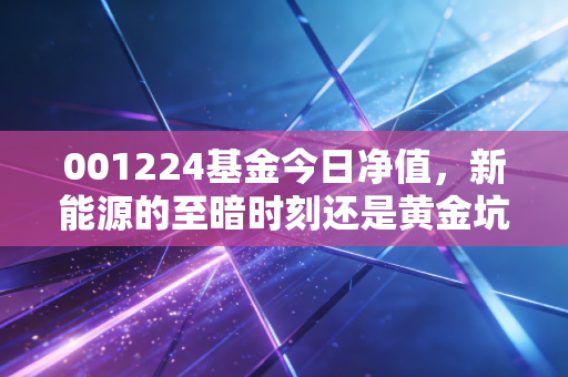 001224基金今日净值，新能源的至暗时刻还是黄金坑？聊聊我的看法
