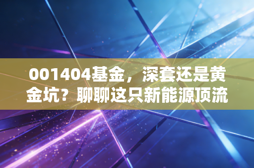 001404基金，深套还是黄金坑？聊聊这只新能源顶流的过去与未来