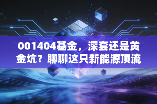 001404基金，深套还是黄金坑？聊聊这只新能源顶流的过去与未来