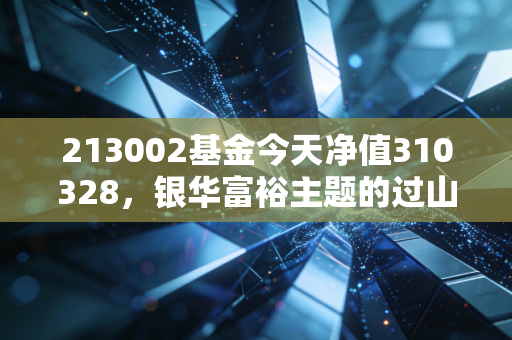 213002基金今天净值310328,银华富裕主题的过山车人生,我们还能拿得住吗?