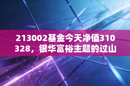 213002基金今天净值310328，银华富裕主题的过山车人生，我们还能拿得住吗？