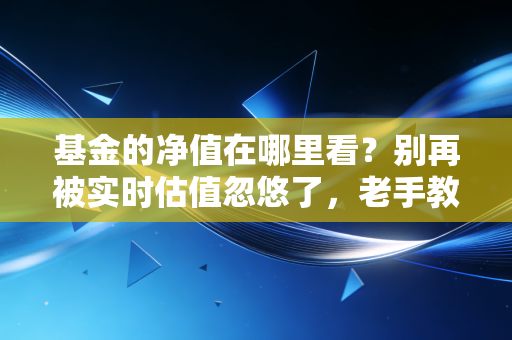 基金的净值在哪里看？别再被实时估值忽悠了，老手教你这几招