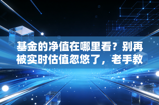 基金的净值在哪里看？别再被实时估值忽悠了，老手教你这几招