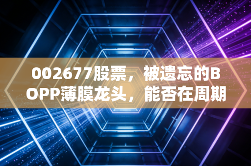 002677股票，被遗忘的BOPP薄膜龙头，能否在周期轮回中突围？