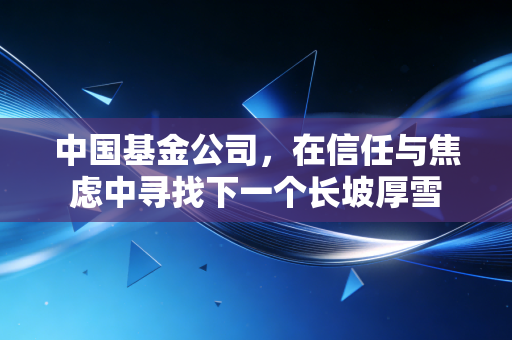 中国基金公司,在信任与焦虑中寻找下一个长坡厚雪
