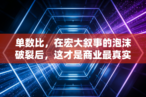 单数比,在宏大叙事的泡沫破裂后,这才是商业最真实的底色