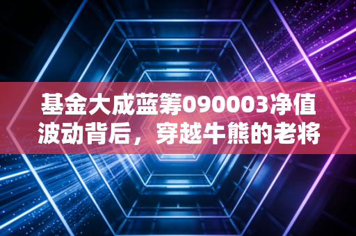 基金大成蓝筹090003净值波动背后，穿越牛熊的老将还能陪我们要走多远？
