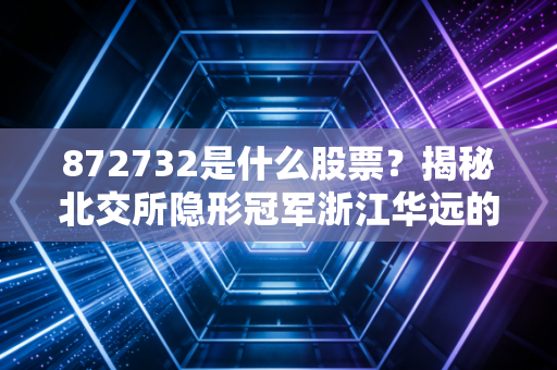 872732是什么股票？揭秘北交所隐形冠军浙江华远的投资逻辑与生存之道