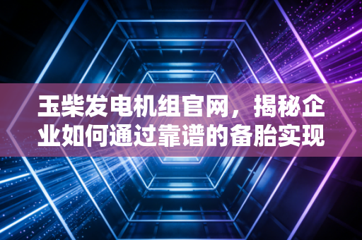 玉柴发电机组官网，揭秘企业如何通过靠谱的备胎实现资产保值与业务连续性