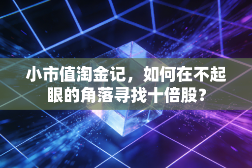 小市值淘金记，如何在不起眼的角落寻找十倍股？
