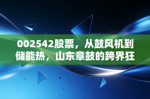 002542股票，从鼓风机到储能热，山东章鼓的跨界狂欢能持续多久？