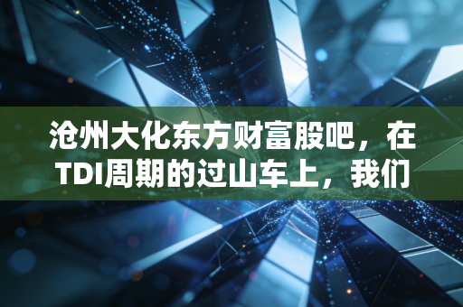 沧州大化东方财富股吧,在TDI周期的过山车上,我们都是寻找确定性的赌徒