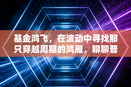 基金鸿飞,在波动中寻找那只穿越周期的鸿雁,聊聊普通人的投资修行