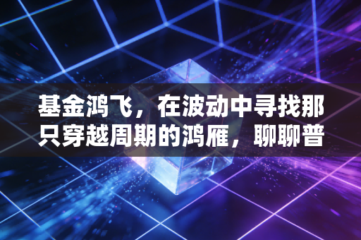 基金鸿飞,在波动中寻找那只穿越周期的鸿雁,聊聊普通人的投资修行