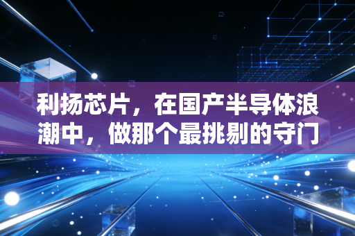 利扬芯片，在国产半导体浪潮中，做那个最挑剔的守门人