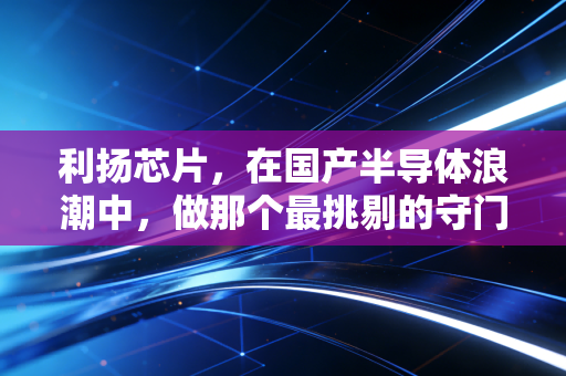 利扬芯片，在国产半导体浪潮中，做那个最挑剔的守门人