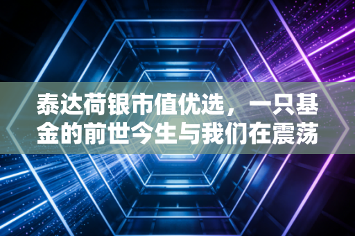 泰达荷银市值优选，一只基金的前世今生与我们在震荡市中的生存法则