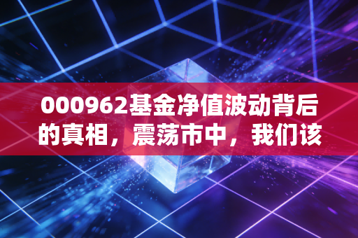 000962基金净值波动背后的真相，震荡市中，我们该如何与成长共舞？