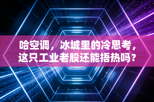 哈空调，冰城里的冷思考，这只工业老股还能捂热吗？