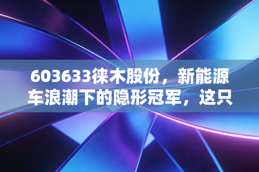 603633徕木股份，新能源车浪潮下的隐形冠军，这只被低估的汽车电子小巨人还能飞多高？