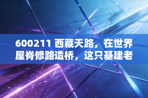 600211 西藏天路，在世界屋脊修路造桥，这只基建老兵还能否迎来第二春？